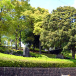 【蛍が見れる原田公園】　富士市原田